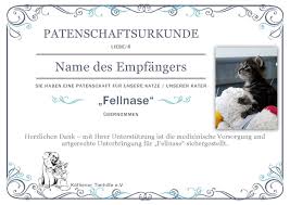 Im märz 2017 macht sich die nürnbergerin auf. Gesucht Katzenpatenschaften Der Kothener Tierhilfe E V Stellt Sich Vor