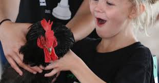 Clover Kids not too young to learn showmanship lessons
