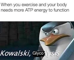 Funniest Reddit Memes Hilarious Memes Quoratreasury Memes By Pro Raze Biology Memes Science Memes Funny Memes
