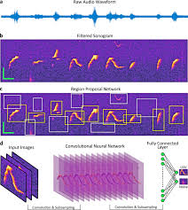 Best remote access trojan detect tools. Deepsqueak A Deep Learning Based System For Detection And Analysis Of Ultrasonic Vocalizations Neuropsychopharmacology