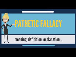 What Is Pathetic Fallacy What Does Pathetic Fallacy Mean Pathetic Fallacy Meaning Explanation Youtube