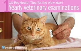 10 Pet Health Tips for the New Year