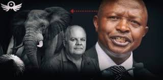 Fred Daniel Archives