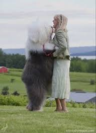 Elvis Theoes Profile Pictures Facebook Dog Kisses Cute Animals Animals