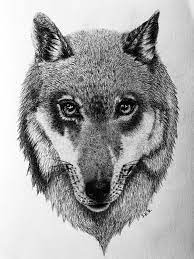 Realistic Wolf Sketch For Sale Animal Sketches Wolf Sketch Trippy Drawings