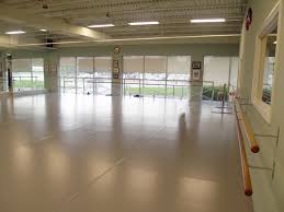 Dvda Delaware Valley Dance Academy Utilizes Alvas Ballet Barres With Wall Mount Fixed Brackets And Floor Mount U Dance Rooms Marley Floor Dance Ballet Barres