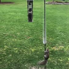 All it requires is attaching the slinky to the top of the bird feeder pole and letting it hang down to the ground. Clever Squirrel Conquers Bird Feeder After Outsmarting The Slinky