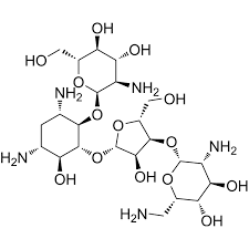 Image result for Paromomycin