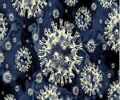 Most affect the lungs and cause breathing difficulties. Aspergillosis Cases Reported Among Covid Patients After Black Fungus Know Who All Are At Risk And Its Types Here
