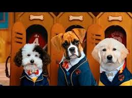 Aos poucos, os cachorros, que desenvolvem primeiramente o olfato e o tato junto à mãe, abrem os olhos e as orelhas, que lhes conferem dois sentidos bastante aguçados. Escuela De Cachorros Temporada 2 Trailer Espanol Youtube