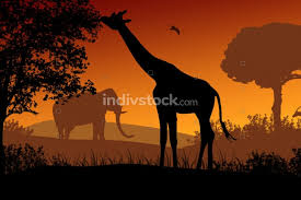✓ free for commercial use ✓ high quality images. Indivstock