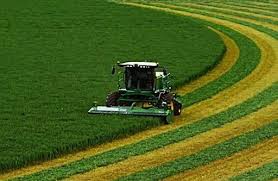 Image result for Hainan  Agriculture in Hainan