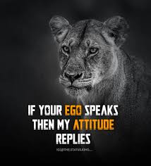 We did not find results for: Attitude Status In English 153 Best Attitude Quotes For Whatsapp 2021
