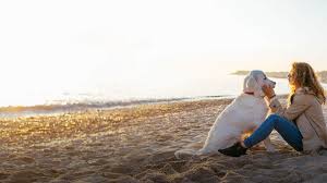 We are committed to researching. Veterinarians Malibu Ca Pet Boarding Malibu Coast Animal Hopsital