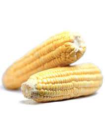 How many calories are in a plain corn on the cob? Nutrition Comparison White Rice Vs Yellow Corn