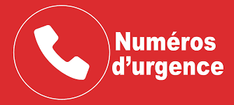 Retrouvez les numéros d'urgence de france et pour plus de 80 pays dans une seule application. Contacts Sante Et Solidarite Numeros D Urgence Mairie De Lognes