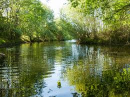 We did not find results for: The Secret Of Water As A Basis For The New Earth