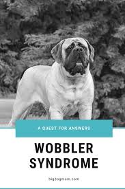 Wobbler Syndrome A Painful Intersection Between Diet And Genetics