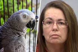 Parrot's Mimicking Uncovers His Owner's Chilling Final Moments