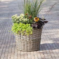 Woven Wicker Basket Planter Basket Planters Wicker Small Gardens