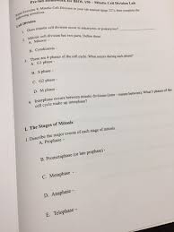 Start studying cell division gizmo. Solved Pre La Read Exercise 8 Mitotic Cell Division In Y Chegg Com