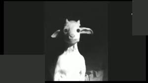 For your search query el diablo anda suelto meme shitpost mp3 we have found 1000000 songs matching your query but showing only top 10 now we recommend you to download first result el diablo anda suelto meme shitpost mp3. Video Viral De La Cabra De Facebook Cabra Maldita Con Cancion De El Diablo Anda Suelto Youtube