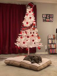 Perennial wreath adorned with colorful, classic ornaments as well as exotic animals in gilded attire. Https Imgur Com Gallery Tbzmoj7 Daily Https Imgur Com T3zccio Jpg Day 8 Fat Cap Is Rock Solid By Now Meat Is Getting Tougher Day By Day Next Update On Day 10 2019 12 19t18 00 08 560z Https Imgur Com Gallery Dcsk17m Daily Https Imgur Com