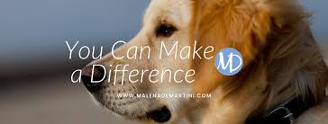 Separation anxiety is one of the most common behavioral problems in dogs, and it's not easy to correct. Treating Separation Anxiety In Dogs Posts Facebook