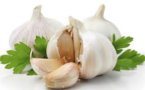 Campuran itu diletakkan di dalam gelas/cawan/bekas yang. Kawal Darah Tinggi Anda Dengan Bawang Putih