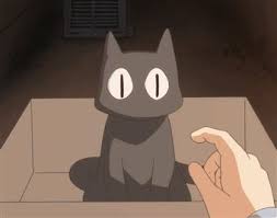 Katze Schwarze Katze Nichijou Katze Nichijou Schwarze Black Cat Anime Aesthetic Anime Anime