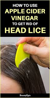 How To Treat Head Lice With Apple Cider Vinegar Head Louse Apple Cider Vinegar Lice Apple Cider Vinegar For Hair