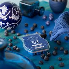After reviewing the questions above, there seems to be some confusion. Reviews Of Scentsy Scents Scentsy Reviews By Island Scentsy