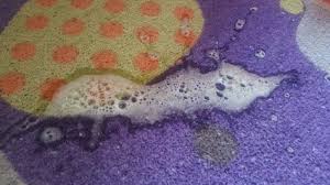 Maybe you would like to learn more about one of these? Why Is My Cat Throwing Up Water And White Foam