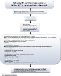Liver function tests are blood tests that measure different enzymes, proteins, and other substances made by the liver. Alanine Aminotransferase High Symptoms