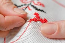 Hobbies | T-Rex Counted Cross Stitch Embroidery