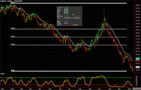 four soft commodities the forgotten sector commodity trader