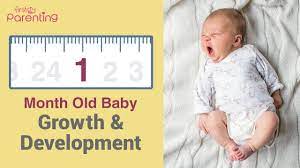 Although it may take a while to understand what all this information means, your baby can still find joy and comfort in the familiar faces, voices, and sensations of. 1 Month Old Baby Growth Development Youtube