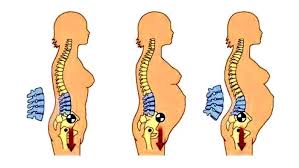 Pin On Pregnancy