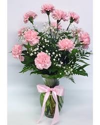 We did not find results for: Dozen Pink Carnations In Yuma Az The Flower Mine
