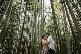 Two days spent exploring los angeles with these two was so much fun. Los Angeles Arboretum Wedding Engagement Photography Of 2021 Wpja 2563902