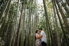 Your best wedding photography in los angeles. Los Angeles Arboretum Wedding Engagement Photography Of 2021 Wpja 2563902
