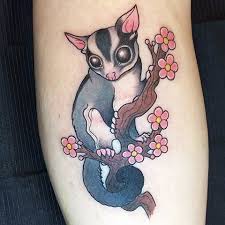 Pin By Ann Garrett On Sugar Butts Sugar Glider Sugar Glider Pet Sugar Glider Toys