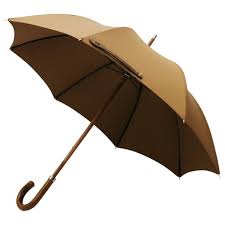 Khaki City Lux Umbrella 765 Sar Liked On Polyvore Featuring Accessories Umbrellas Wood Handle Umbrella Wooden Handle Umb Umbrella Leather Wooden Handles
