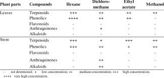 Image result for Cucumis aculeatus