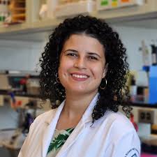 Sophie Son (@SophieSeulESon)