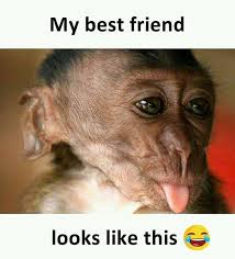 Texting is the first act to start speaking with your crush. Tag Your Best Friend Nepali Comedy Jokes Facebook