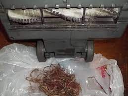 How often should you clean the filter? How To Clean The Shark Navigator Vacuum And Filters Dengarden