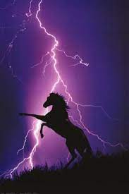 Lightning And Silhouette Of Horse Posters Allposters Com Horse Posters Horses Beautiful Horses