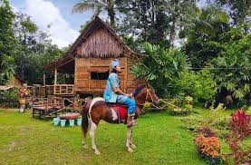 Download 320 kbps mp3 from patreon. 9 Balairung Seri Banian Ideas Indonesian Art Myanmar Art Village