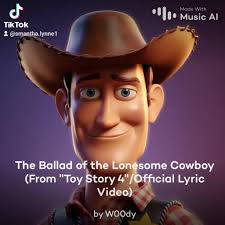 Andy Toy Story Toby Keith Cowboy